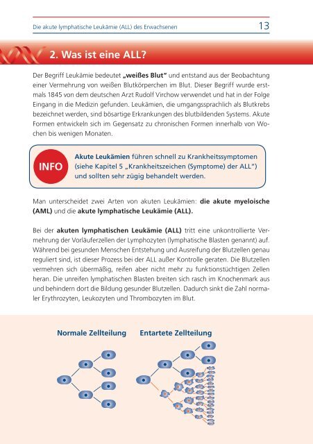 (ALL) des Erwachsenen - Leukämiehilfe RHEIN-MAIN geV