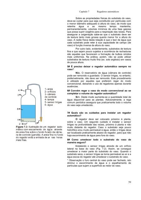 SISTEMA IRRIGAS PARA MANEJO DE - Embrapa Hortaliças