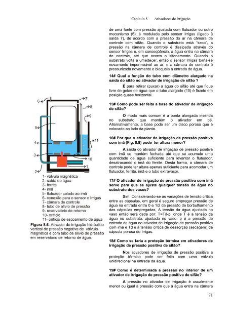 SISTEMA IRRIGAS PARA MANEJO DE - Embrapa Hortaliças