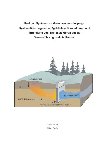 Reaktive Systeme zur Grundwasserreinigung - Lehr- und ...