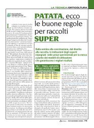 PATATA, ecco le buone regole per raccolti SUPER - Fertirrigazione