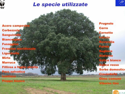 l progetto LIFE Natura della Laguna di Orbetello