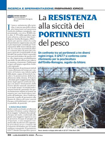 La RESISTENZA alla siccità dei PORTINNESTI ... - Ermes Agricoltura