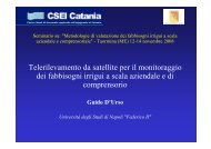 Telerilevamento da satellite per il monitoraggio dei fabbisogni irrigui ...