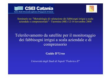 Telerilevamento da satellite per il monitoraggio dei fabbisogni irrigui ...