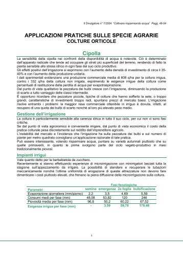 colture orticole - Il divulgatore