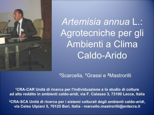 Artemisia annua L.: Agrotecniche per gli Ambienti a Clima Caldo-Arido