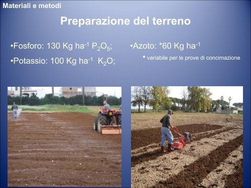 Artemisia annua L.: Agrotecniche per gli Ambienti a Clima Caldo-Arido