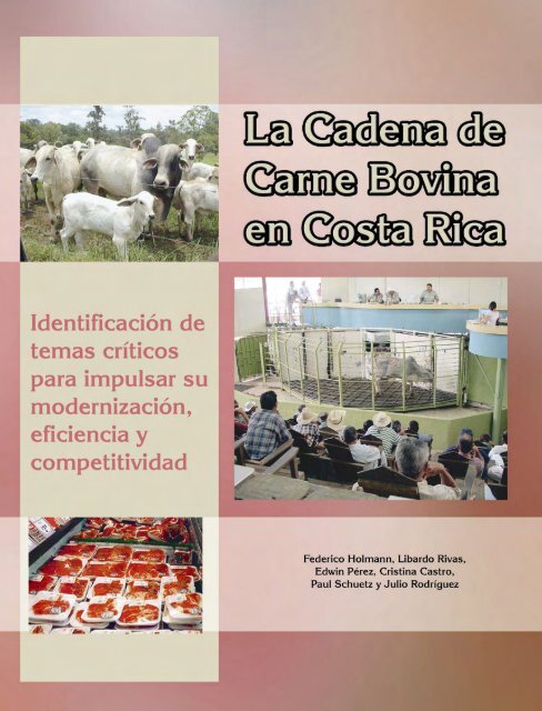 Análisis de la cadena de la carne bovina en Costa Rica: - CORFOGA