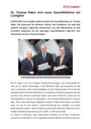 Ganzen Bericht lesen - Lichtgitter GmbH