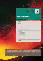 UNITAT 4 - Castellnou Edicions