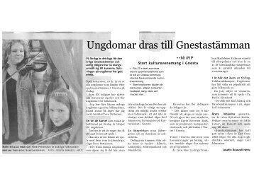 2011-02-07 Gnesta stämman Ungdomar dras till