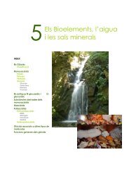 5Els Bioelements, l'aigua i les sals minerals - IES Ramon Llull