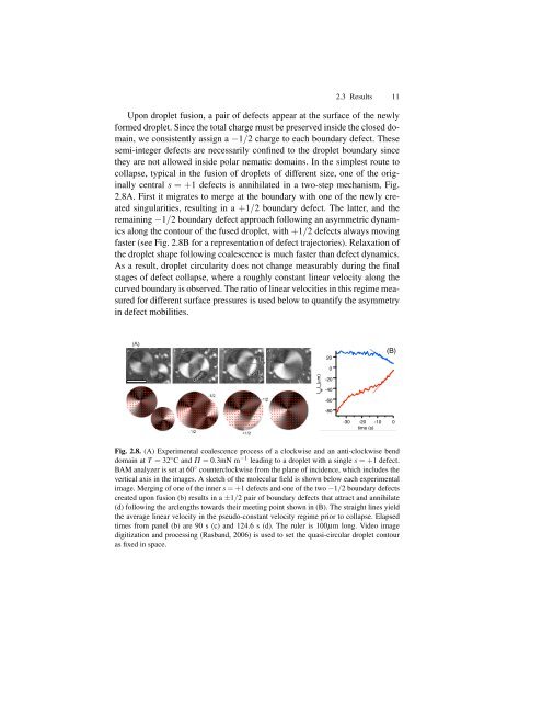 Thesis (pdf) - Espci