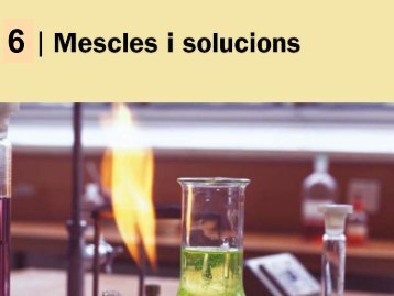 Tema 6. Mescles i solucions