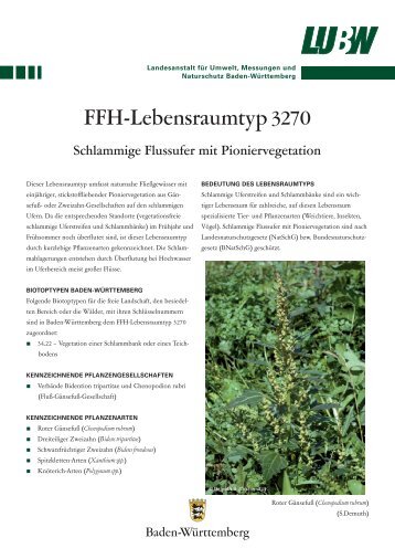 FFH-Lebensraumtyp 3270 - Landesanstalt für Umwelt, Messungen ...