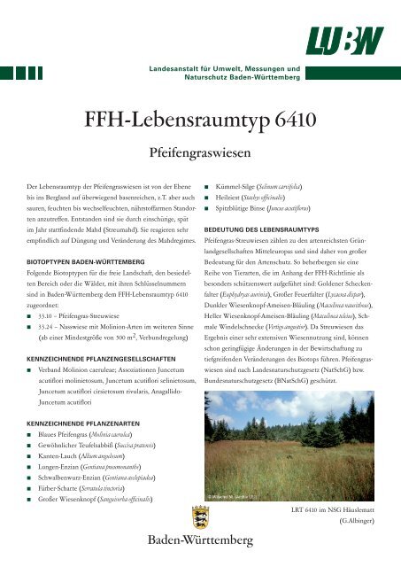FFH-Lebensraumtyp 6410 - Landesanstalt für Umwelt, Messungen ...