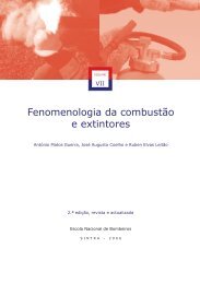 Fenomenologia da combustão e extintores - Escola Nacional de ...