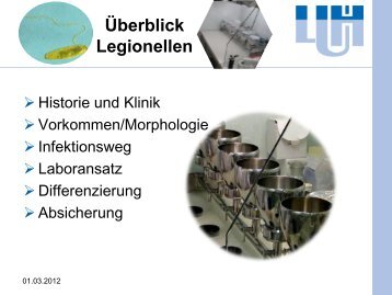 Überblick Legionellen - LUH