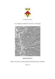 ANNEX 4. Estudi riscos.pdf - Ajuntament d'Aiguafreda