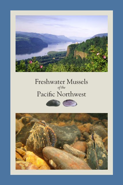 Freshwater Mussels Pacific Northwest - The Xerces Society