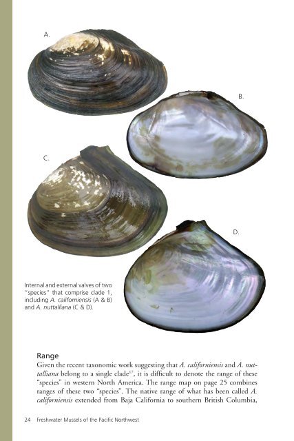 Freshwater Mussels Pacific Northwest - The Xerces Society