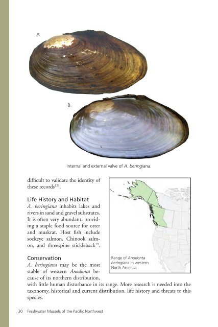 Freshwater Mussels Pacific Northwest - The Xerces Society