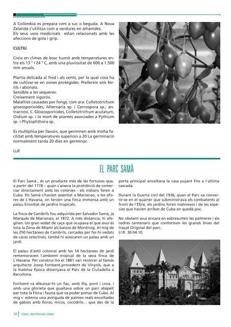 La Revista-Maig 2010 - Institut Horticultura i Jardineria de Reus.