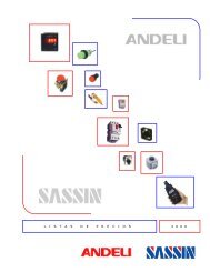 Andeli -Sassin 2006.pdf