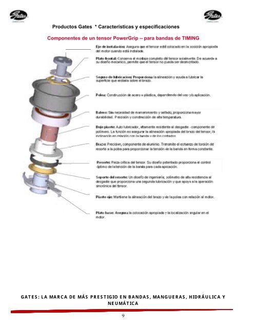 hidráulica y neumática. - Gates de México SA de CV