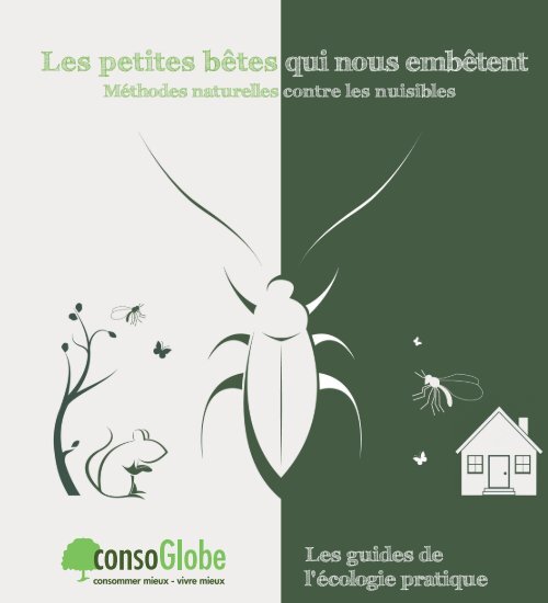 Moyens et techniques de prévention et de lutte contre les mites (insectes  ravageurs des vêtements et