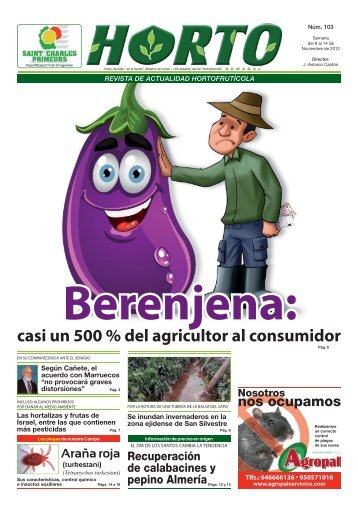 casi un 500 % del agricultor al consumidor Berenjena - Hortoinfo