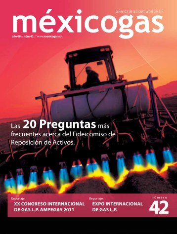 Edición 42 - Mexicogas.net