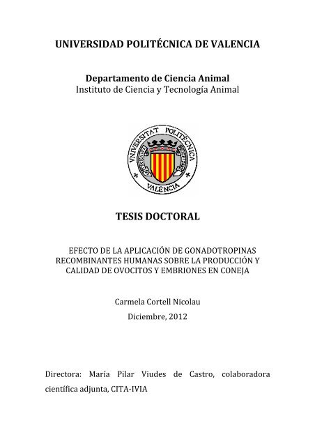 Pautas de pfsh para la hipertensión