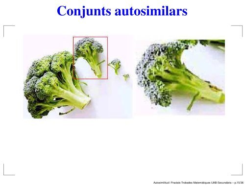 Autosimilitud i Fractals - Departament de matemàtiques