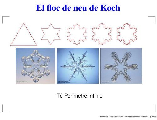 Autosimilitud i Fractals - Departament de matemàtiques