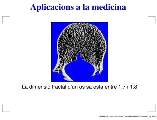 Autosimilitud i Fractals - Departament de matemàtiques