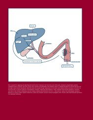 Chapter 4: Bile, Bilirubin, and Cholestasis