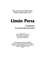 LIMON PERSA, tendencias en el mercado mexicano - Concitver