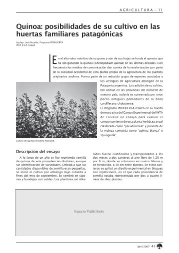 posibilidades de su cultivo en las huertas familiares patagónicas