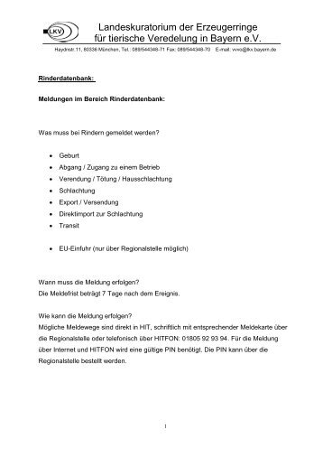 Rinderdatenbank (pdf) - LKV Bayern