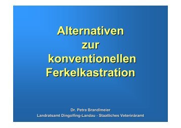 Alternativen zur konventionellen Ferkelkastration - LKV Bayern