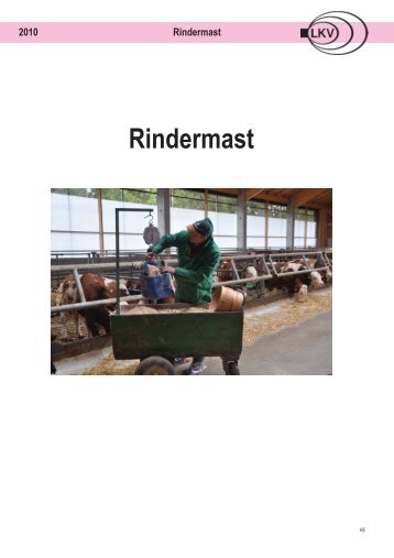 Rindermast - LKV Bayern