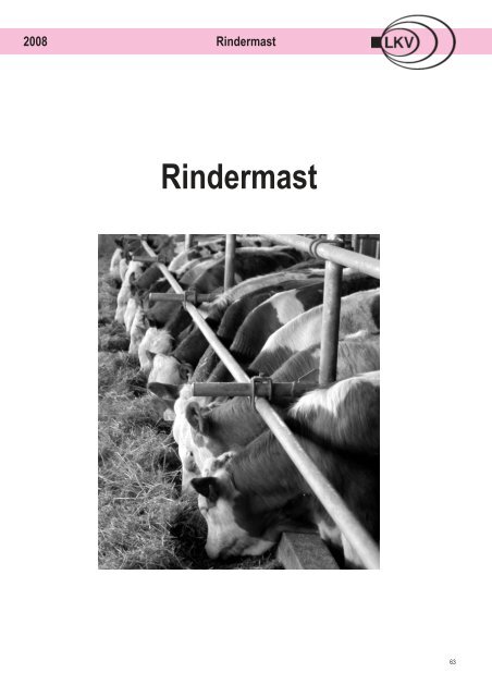 Rindermast - LKV Bayern