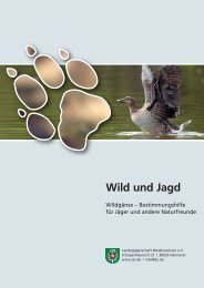 Wild und Jagd - Landesjägerschaft Niedersachsen