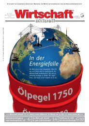 In der Energiefalle - Lindschulte