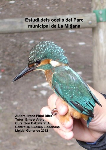 Estudi dels ocells del Parc municipal de La Mitjana (Lleida). - Inici