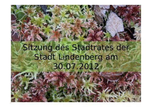 Bericht Landschaftspflegeverband 2012 - Lindenberg