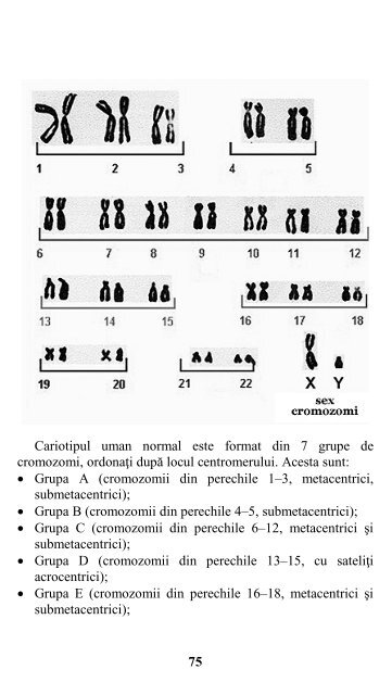 Fituica: Biologie - Clasele 11-12