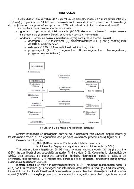 PATOLOGIA GONADELOR Dezvoltarea și diferențierea sexuală ...